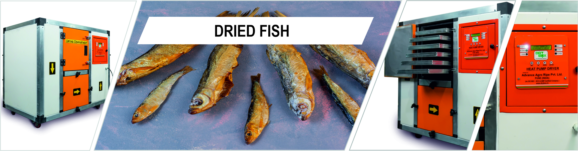 Diied fish